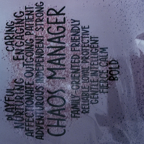 New Chaos Manager Decorative Plaque - Picture 7 of 10